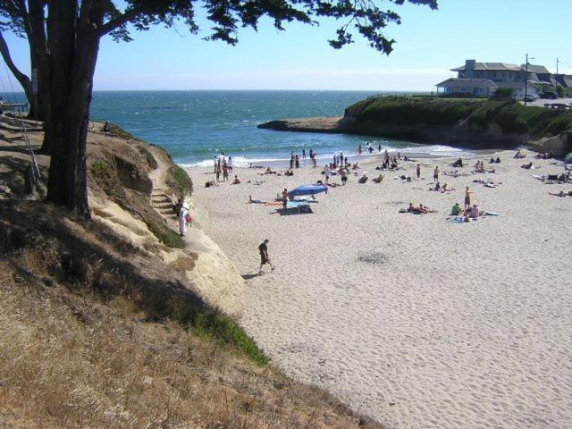 Sunny Cove Motel Capitola Kültér fotó